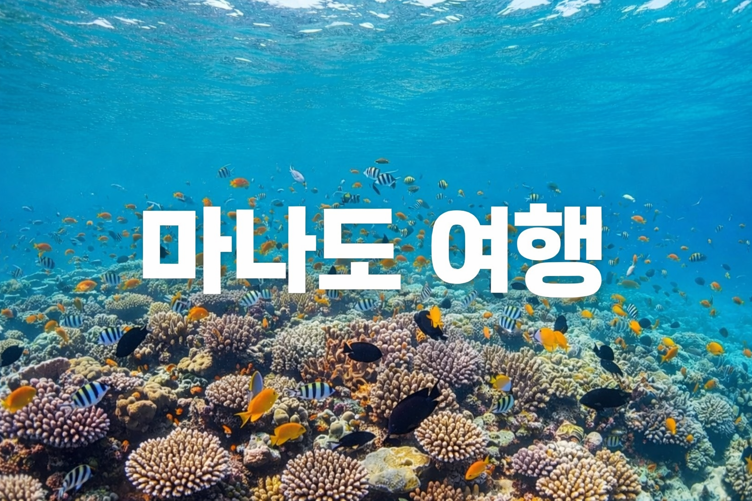 마나도 여행 완벽 가이드: 직항부터 패키지, 자유여행까지 총정리